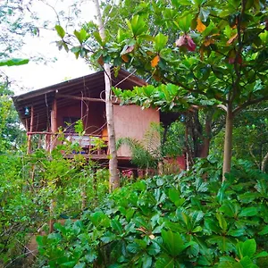  Alloggio in famiglia Akash Treehouse Sri Lanka