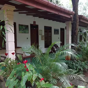  Lodge Sigiri Jungle Sri Lanka